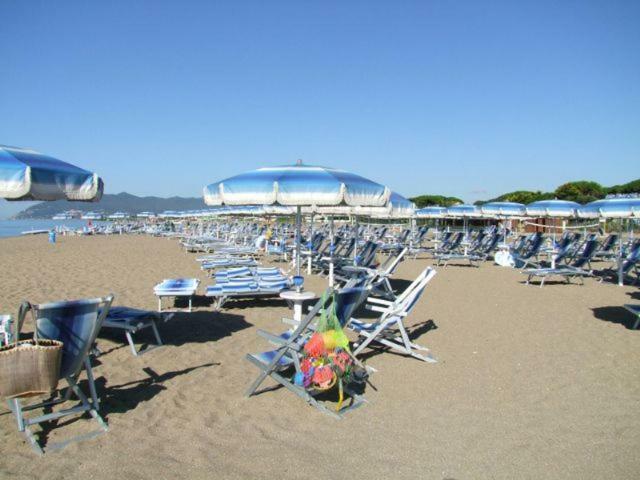 הוילה טרצ'ינה Regina Sul Mare מראה חיצוני תמונה